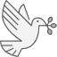 recomendaciones de dechos humanos ConvertImage